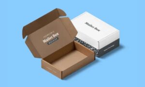 Unveiling the Power of Mailer Boxes for Premium Printed Packaging