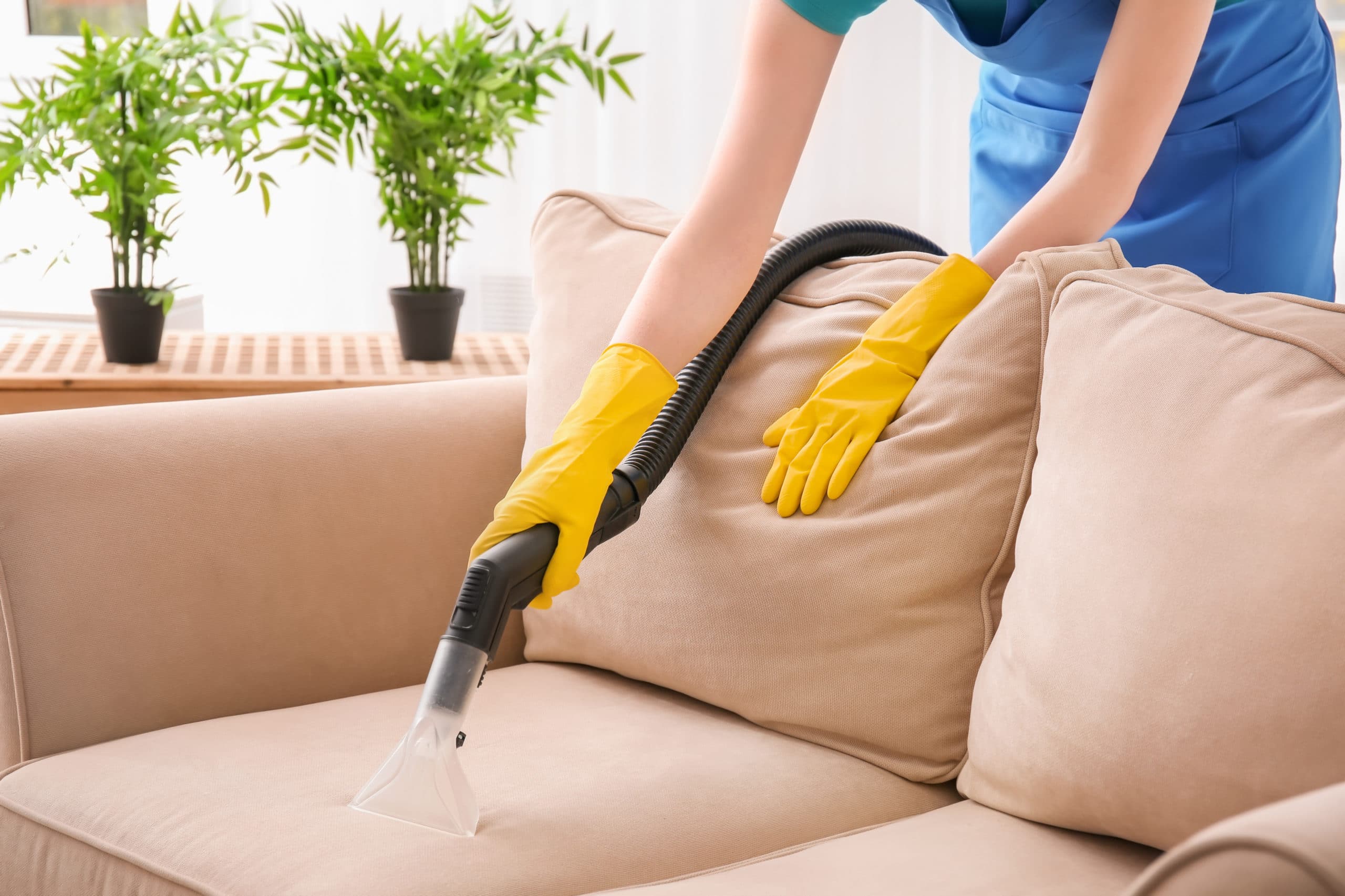 The Dos and Don’ts of Upholstery Cleaning Burwood Residents Should Know