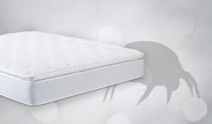 What to Know: Anti Allergy Bedding vs. Dust Mites?