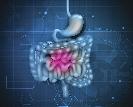5 Tips to Heal a Leaking Gut by the Best Nutritionist in Delhi!