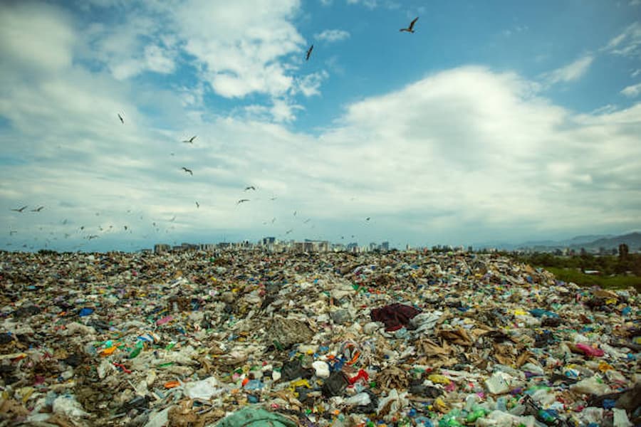 How Disposing Waste Reduces Pollution in Your City?