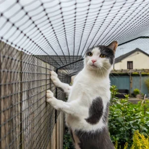 Top Balcony Nets For Plant Safety and Protection in Your Garden