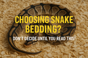 Choosing Snake Bedding? Don’t Decide Until You Read This!