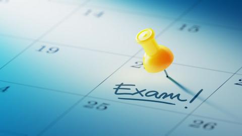 Government Exam Preparation Strategy