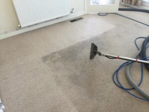 How to Remove Wine, Coffee, and Pet Stains – Tips from London Cleaners