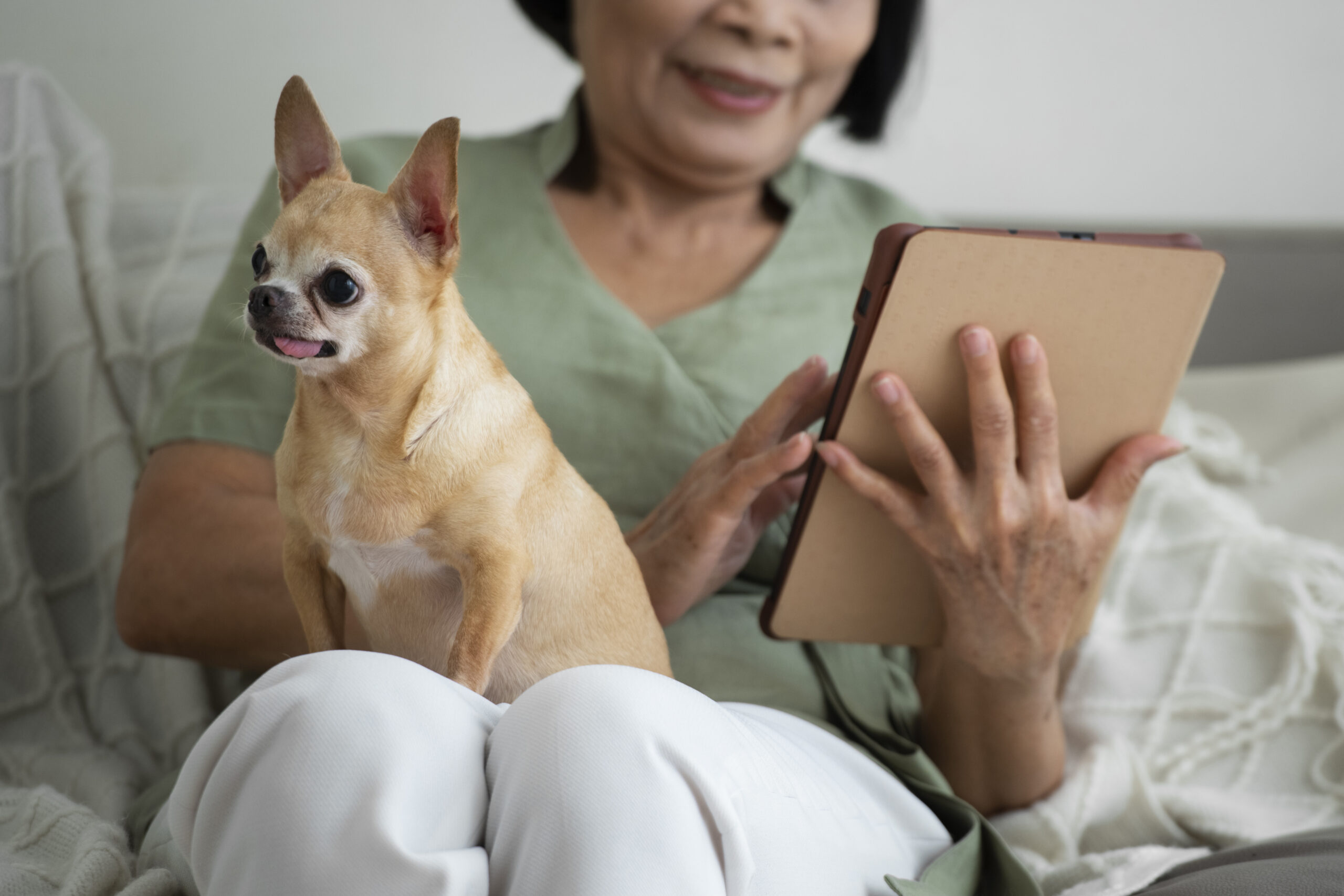 Understanding Distance Animal Healing and Therapy