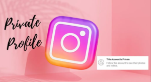 “Capturing Hearts: How Instagram Revolutionized Storytelling”