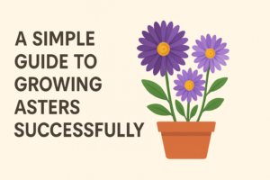 Blooms That Brighten: A Simple Guide to Growing Aster Flowers Successfully