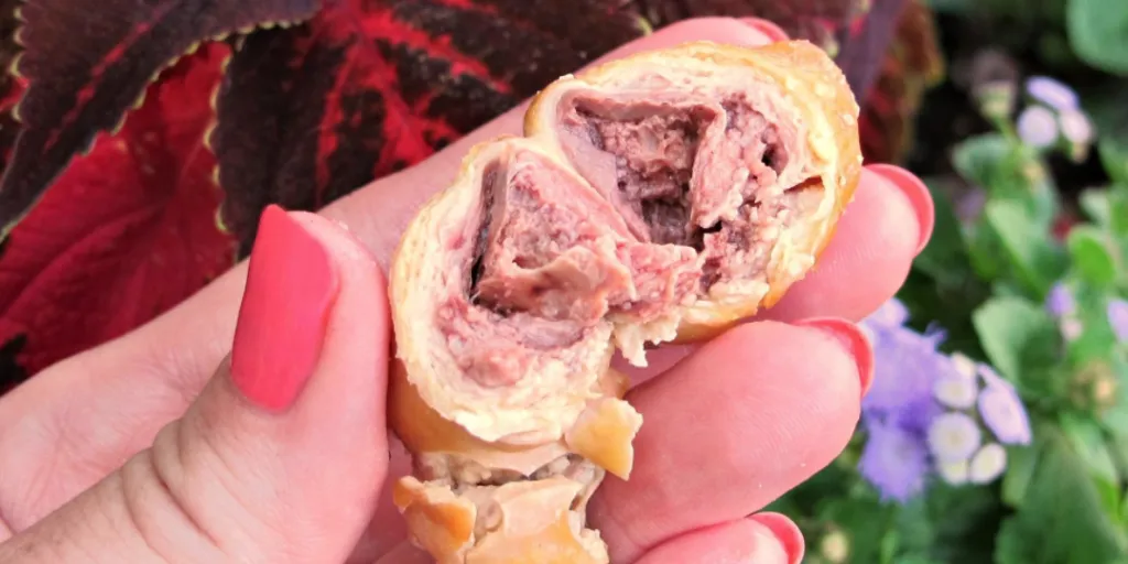 Understanding the Mystery of the Lash Egg