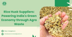 Rice Husk Suppliers Powering India's Green Economy through Agro Waste