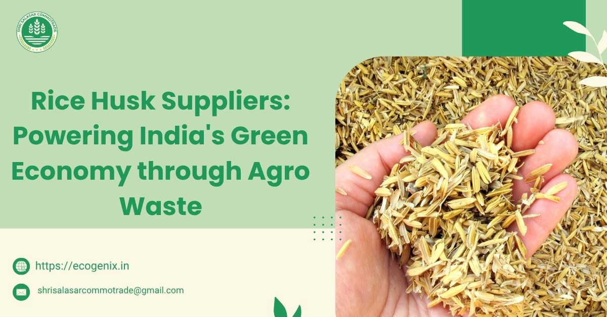 Rice Husk Suppliers: Powering India’s Green Economy through Agro Waste