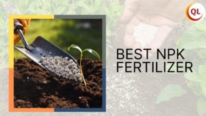 best npk fertilizer