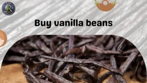 buy vanilla beans