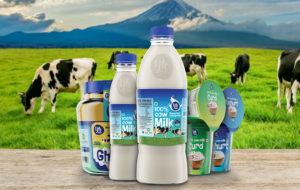 CAMEL RAW MILK SHARJAH: NUTRITIONAL GOLD FROM THE DESERT