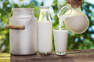 CAMEL RAW MILK UAE: A TIMELESS TRADITION WITH MODERN BENEFITS
