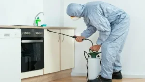 How To Handle Bird And Hornet Problems At Home Without Losing Your Mind