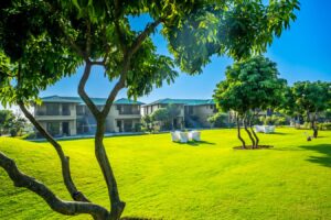 Corporate Offsites and Team Trips with Hotels in Jim Corbett