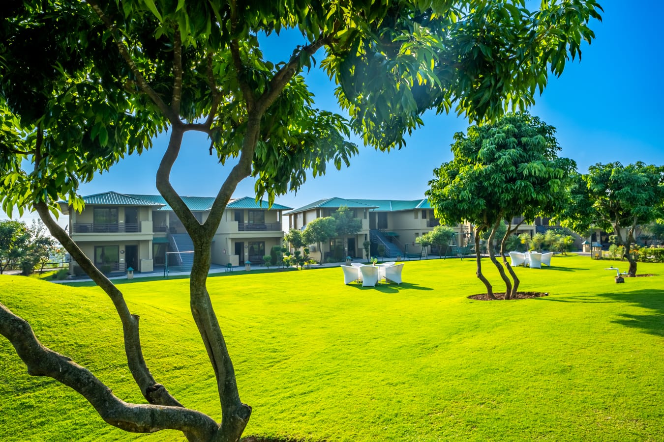 Unwind, Rejuvenate & Explore: August Getaway at Jim Corbett’s Best Luxury Resort