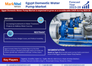 In-Depth Research on Egypt Domestic Water Pump Market | Drivers & Opportunities
