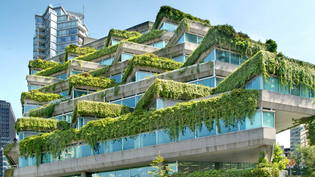 Eco from the Ground Up: The Rise of Green Buildings