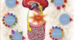 Understanding Neuromodulators: How They Work and Their Benefits