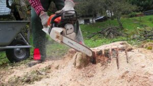 How Tree Stump Grinding Can Transform Your Outdoor Space