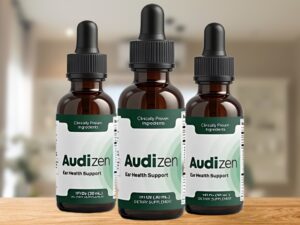 audizen