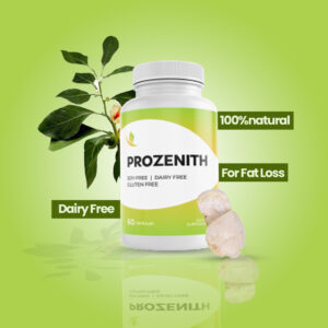 ProZenith Official Website – Everything You Need to Know