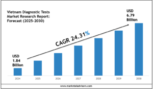 Top Companies in the Vietnam Diagnostic Tests Market 2030