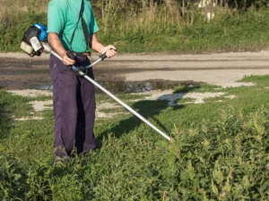 Why Do Homeowners Choose Professional Brush Services?
