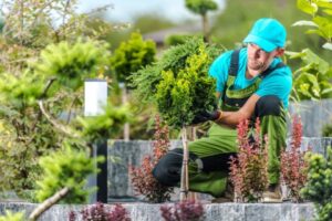 How Landscaping Safety Compliance Training Works in the UK