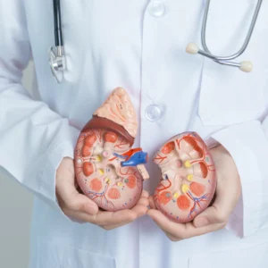 Kidney Transplant vs. Dialysis: Making the Right Treatment Choice