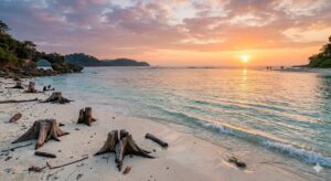 Everything you need to know about the Laxmanpur Beach in the Andamans 