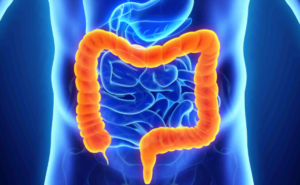 What To Expect Before, During, and After a Procedure at a Colonoscopy Clinic?